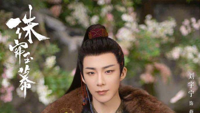 长相有多重要？看《珠帘玉幕》刘宇宁跟《永夜星河》丁禹兮就知道