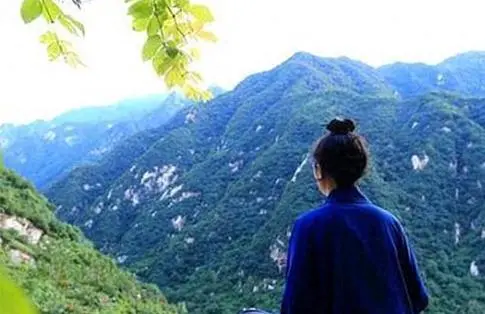 历史风云：智者王猛与明主苻坚的黄金搭档