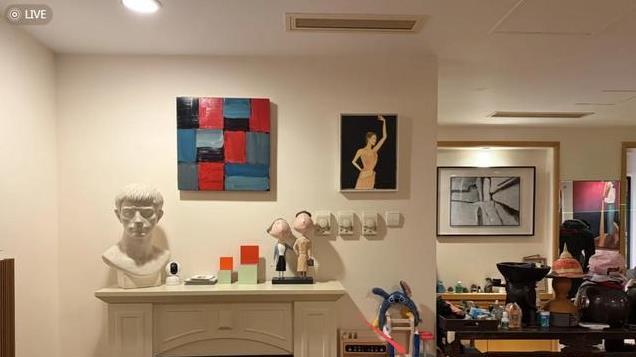 朱珠晒三口之家，墙上挂满名画，地上却堆满女儿玩具乱得很真实