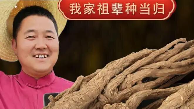 “当归哥”於军强：乡村振兴的践行者，农民的致富带头人