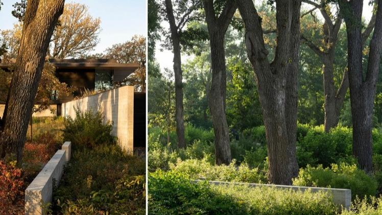 2024 ASLA住宅设计类荣誉奖：Highbank住宅，美国