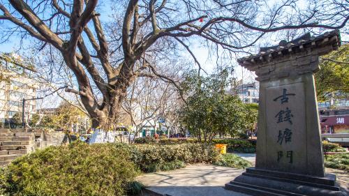 《花妖》深度解读（3）：《花妖》为何选址杭州