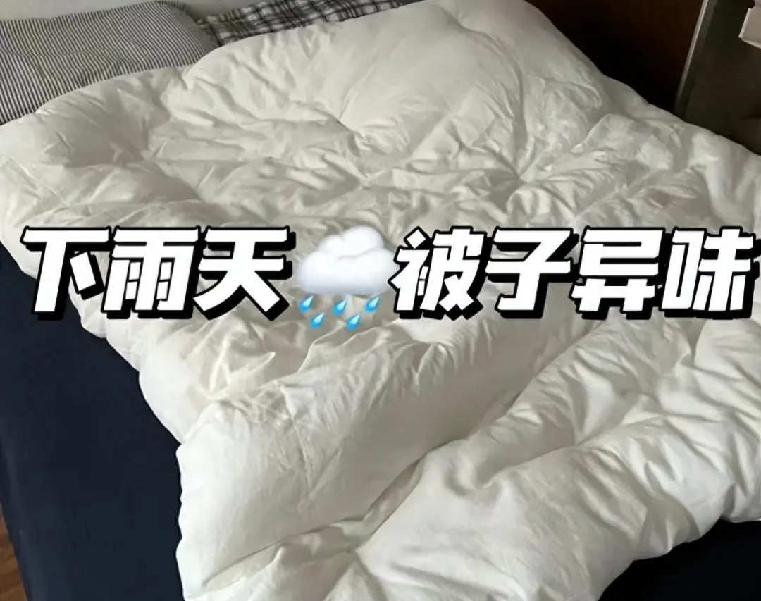 被子睡久“有异味”