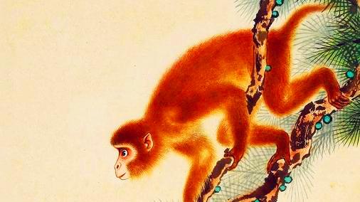 胆大心细，收获不少，2024年底一飞冲天，升职加薪的生肖