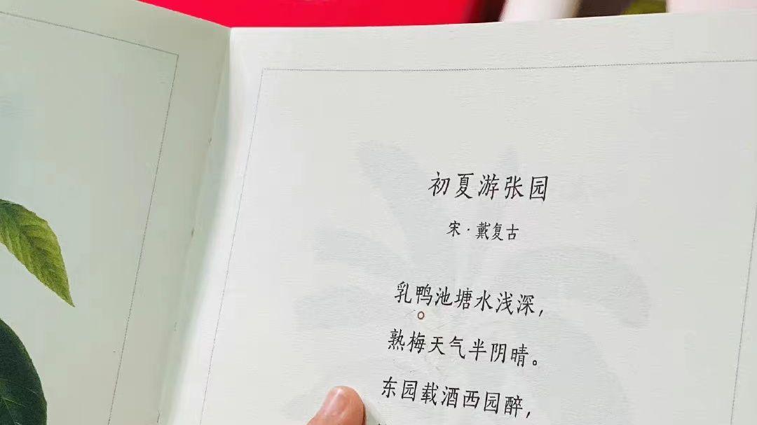 低年级娃，阅读的正确姿势是什么？要不要指读？要不要出声读？