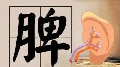脾虚怎么补不上去？是少了这关键一步！快看你有没有犯这个错误！