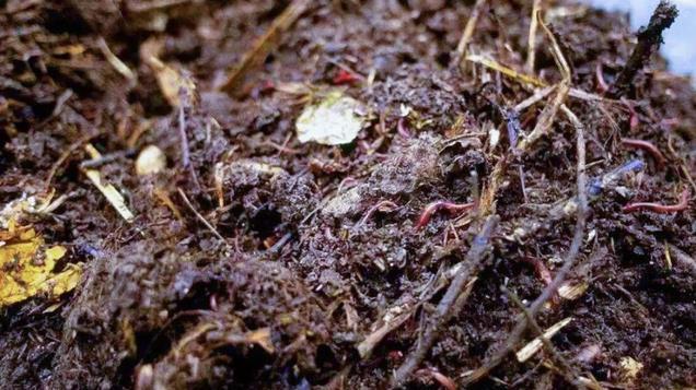 发酵的堆肥水太多了，这样挽救一下，很快就能发酵好
