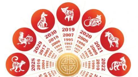 十二生肖的智慧：生活中的平衡艺术