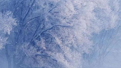 职场杂谈——再谈职场人要掌握的四大能力（二）