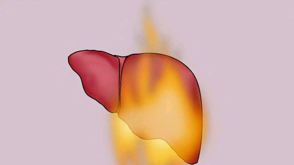 “睡眠差，多是肝火旺”，常吃6种肝喜欢的食物，清肝火，助睡眠