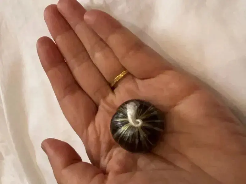 类风湿吃药好好的，为什么一停药就复发？