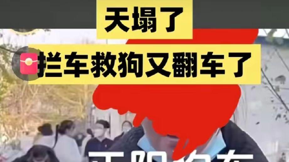 濮阳狗车翻车太快，捐款不给明细还踢人，实锤骗钱团伙？