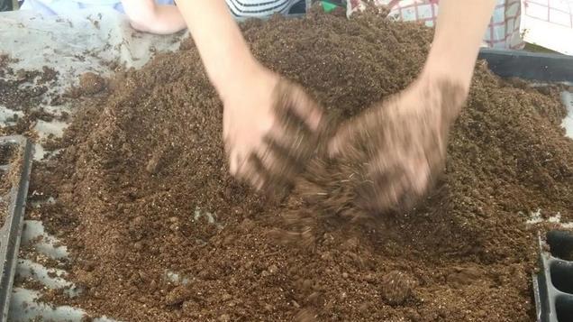 育苗蔬菜了，育苗土不用买，我们都这样自己配，两种方法