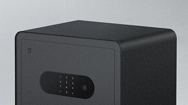 699元，小米今天上架的新品，有点香啊！