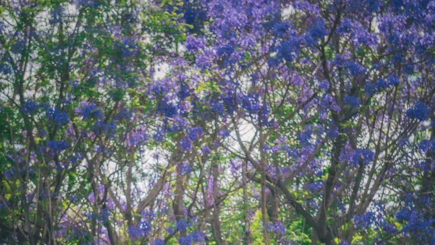 中国又一座城市被老外“占据”，10多万老外赖着不走！