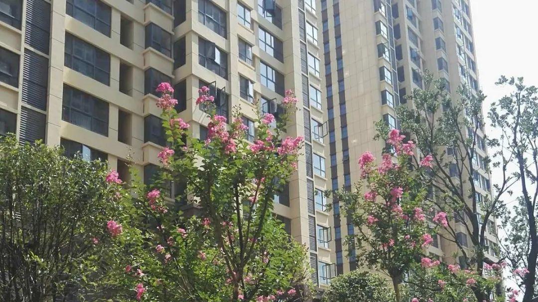 男子买房为避税，打算和卖家结婚，法院判了