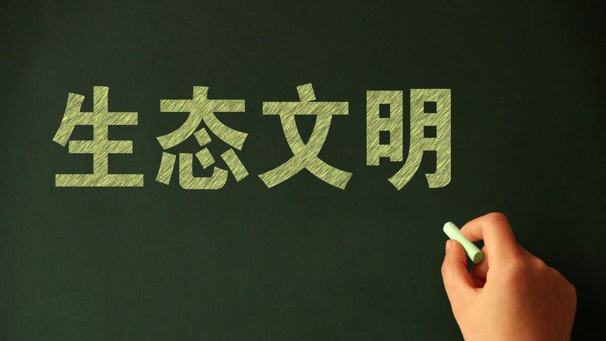 探索文明的发展历程