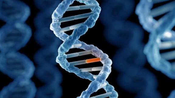 恐龙统治了地球1亿6千万年，却没进化成高等智慧生物，为什么？