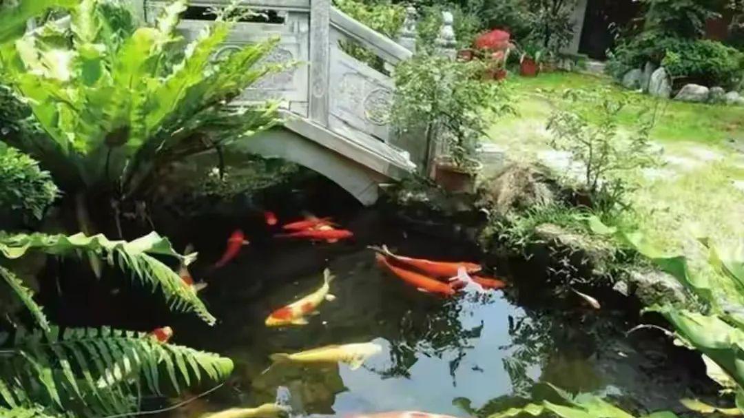 琼瑶和平鑫涛的虐恋，真相扎心：太多的利用，血缘大过爱情！