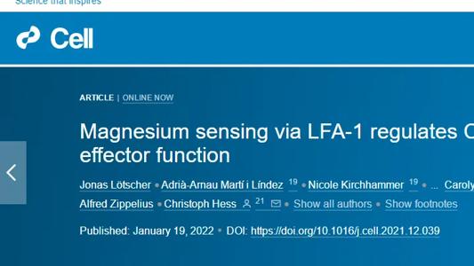 研究发现：缺镁的人抗癌能力或更差！其实常吃5类食物就能补