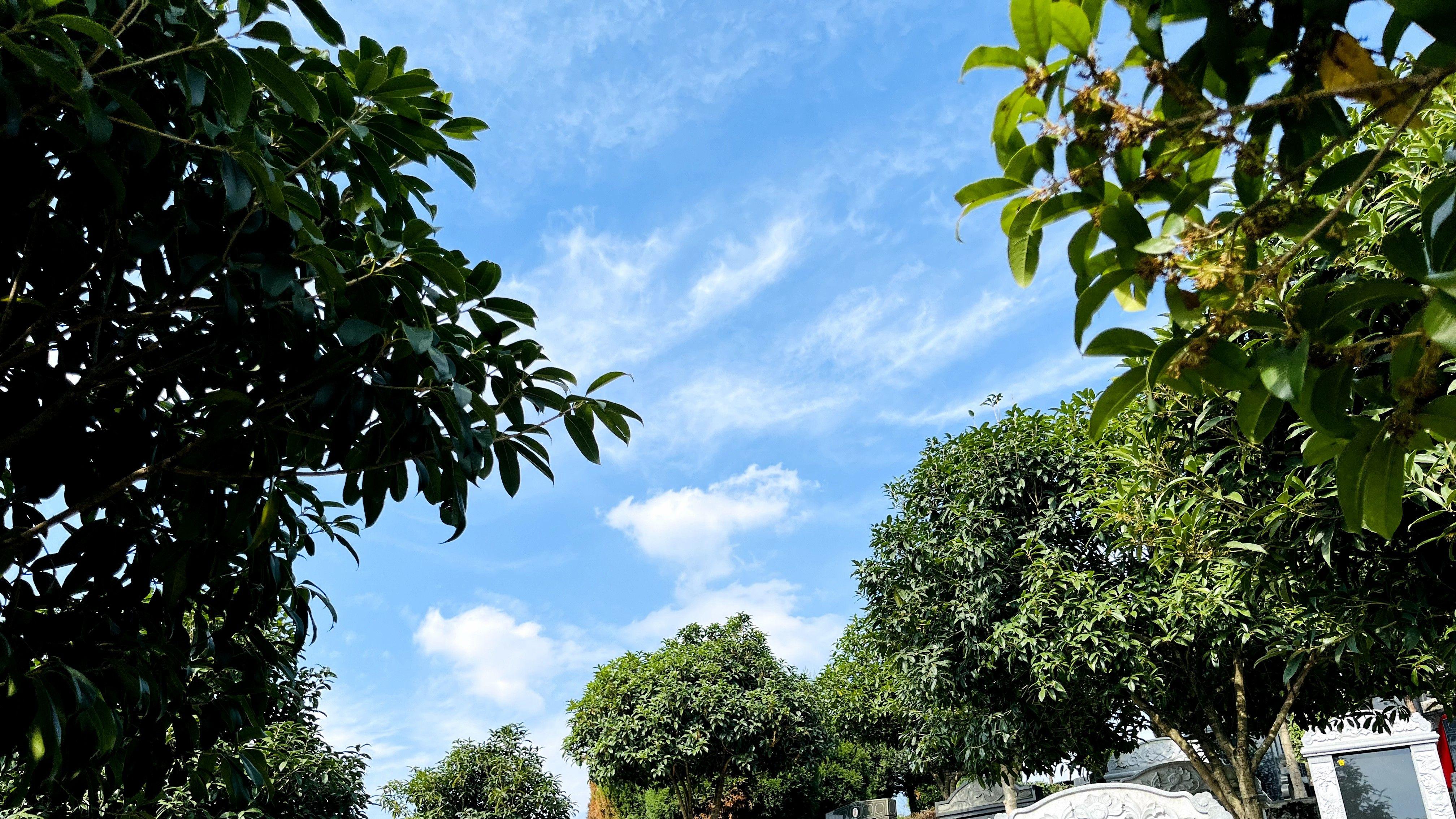 公墓：连接人间与彼岸的宁静纽带——以遵义市双狮山公墓为例