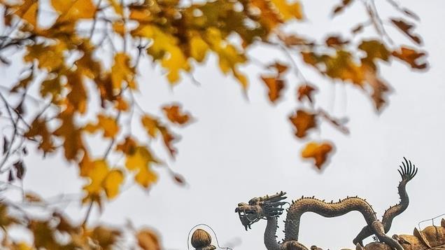 在清朝，康熙若要从北京到承德避暑山庄避暑，到底需要多长时间？