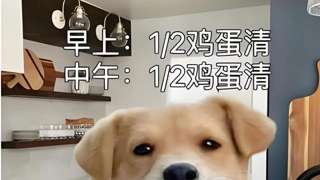 减肥无法回避的五个事实。减肥第33天，减重17斤，一定很快乐吗？