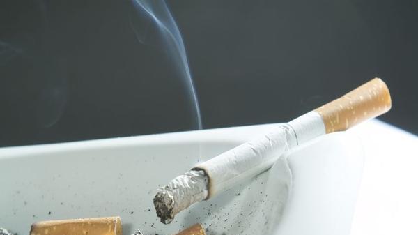 细支烟比正常烟伤害更小？香烟价格越便宜危害越大？一文带你了解