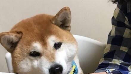 如果专升本学不下去，请认真的读完这篇文章