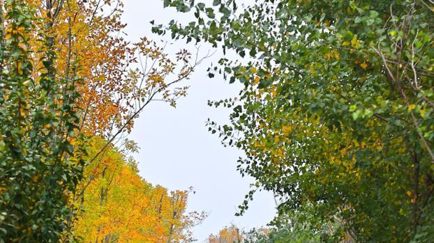 郑州这个免费公园有一段火车铁轨，拍照很好看，适合遛娃赏秋