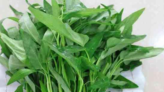 空心菜与痛风：解析为何空心菜被称为“痛风菜”的真相