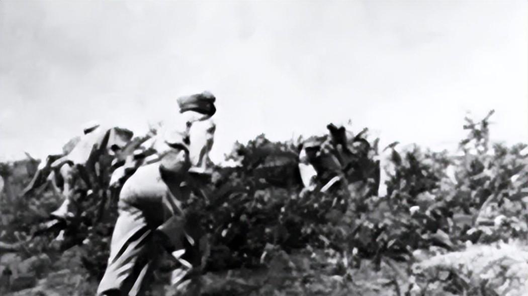 解放战争时，发展最快、装备最精良的第四野战军，武器从何而来？