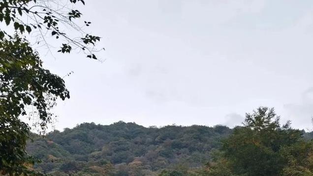 秒杀日本加拿大! 中国隐藏的“红叶第一山”你去过吗