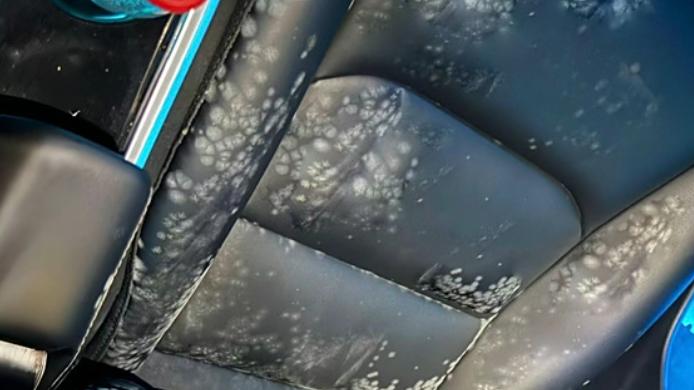 每天坚持用闷蒸法，给新车除甲醛的下场...