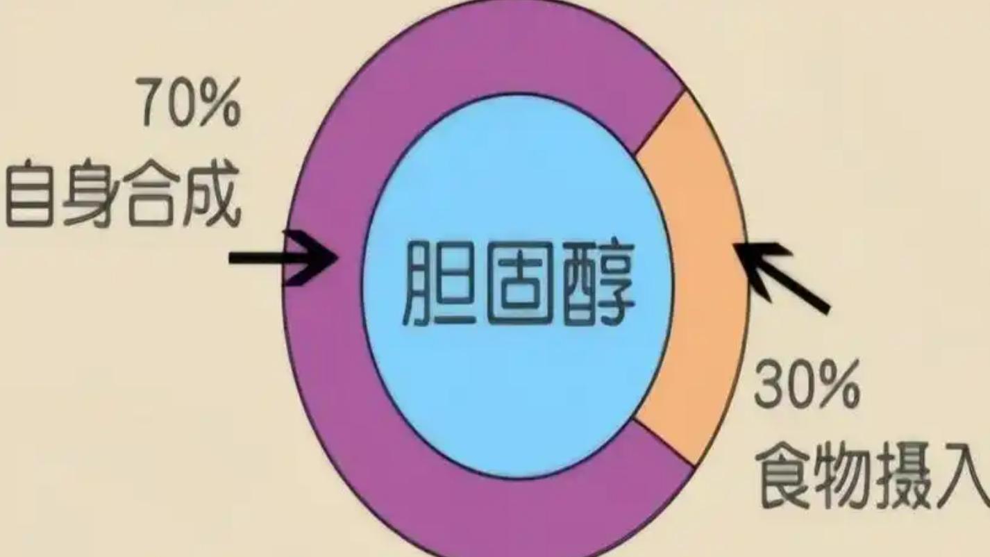 胆固醇高要注意什么？