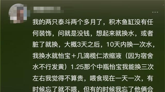 原来鱼也要躺着睡觉的啊，网友：早上发现鱼全部躺缸底还以为死了