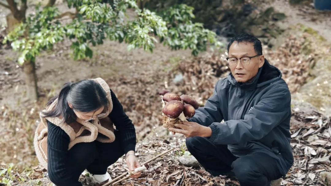 广州华立学院乡村振兴特色产业研究院畲族村项目接受广州电视台采访