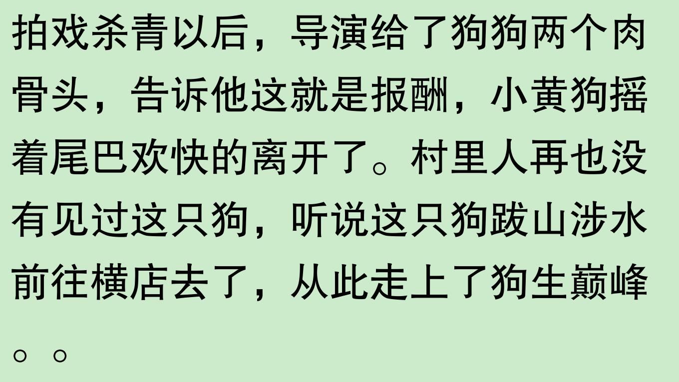 狗狗群演去哪儿了？网友：一去不复返，群狗泪两行！