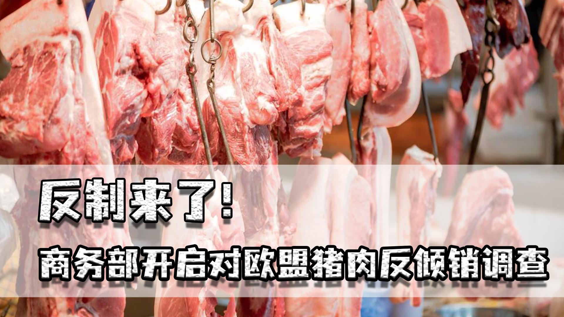 反制来了！商务部开启对欧盟猪肉反倾销调查，我们有多少武器应对