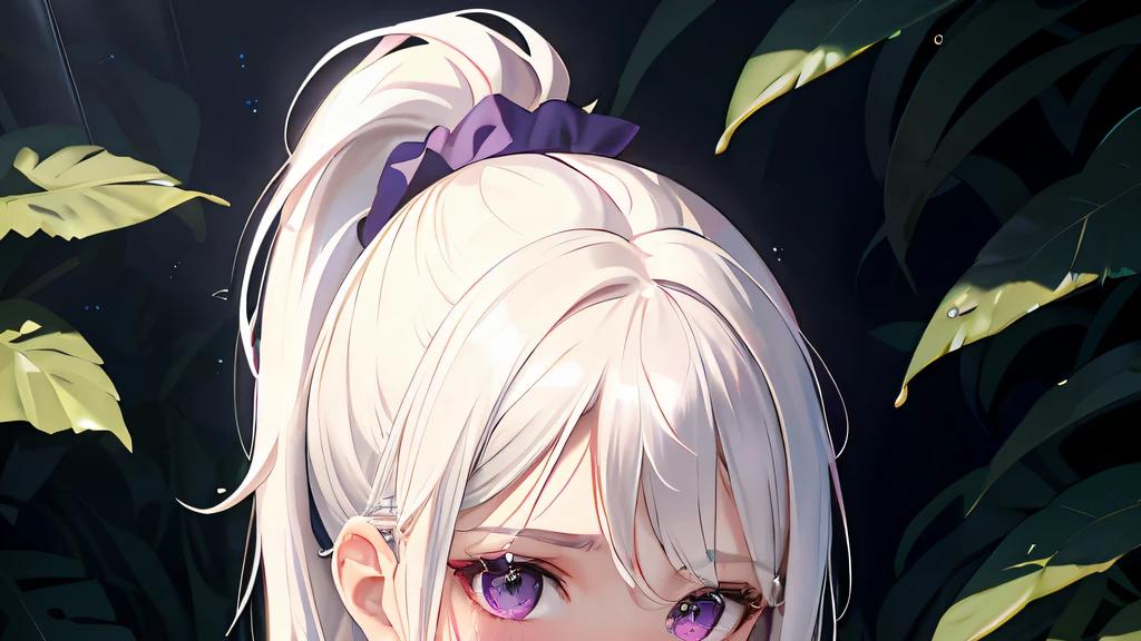 奥林匹亚风华录：友情的织锦，家国的交响