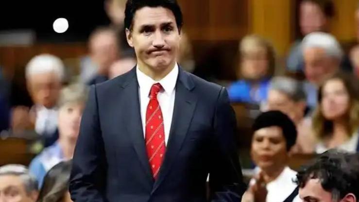 解气！加拿大连续挑衅我国，沉默5天后，我国重拳出手了，不简单