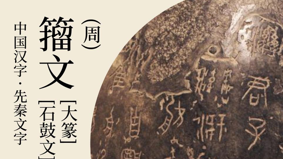 什么是篆书，篆书包括哪些