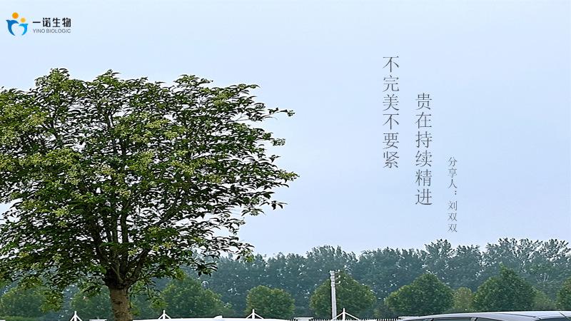 不完美不要紧，贵在持续精进，真正的成功不是一蹴而就的
