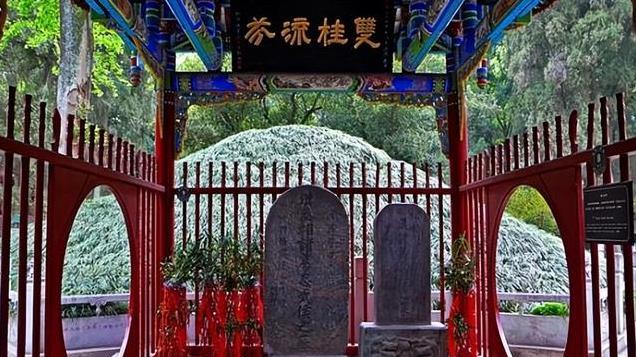 武侯祠和武侯墓并不是一个地方