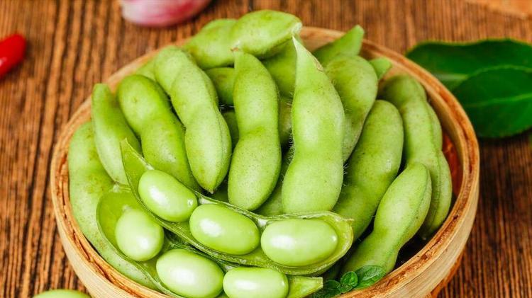 毛豆的收货成熟季节故事，夏季餐桌上的绿色佳肴