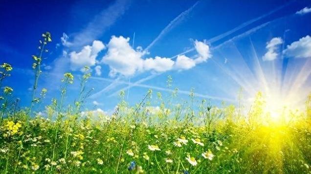 家里那点事儿（2024）——都已经中午了，能不能请你出去吃个饭