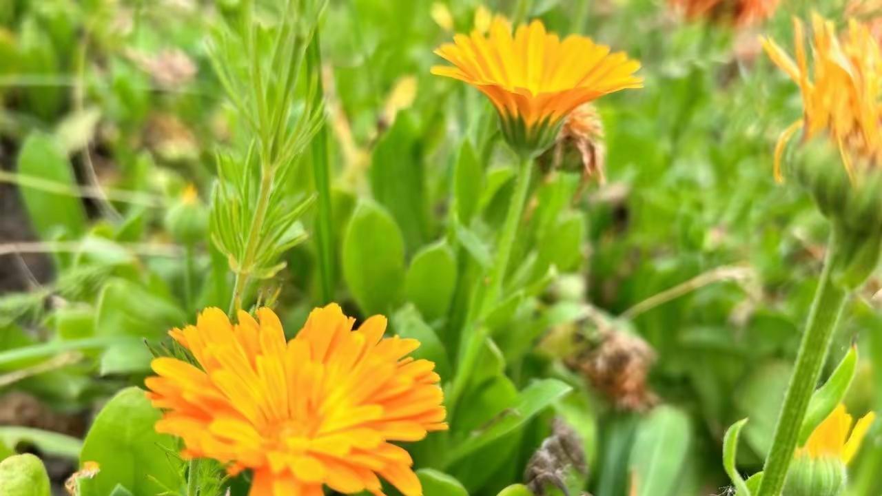 你绝对想不到，这些特质让女人魅力爆棚！