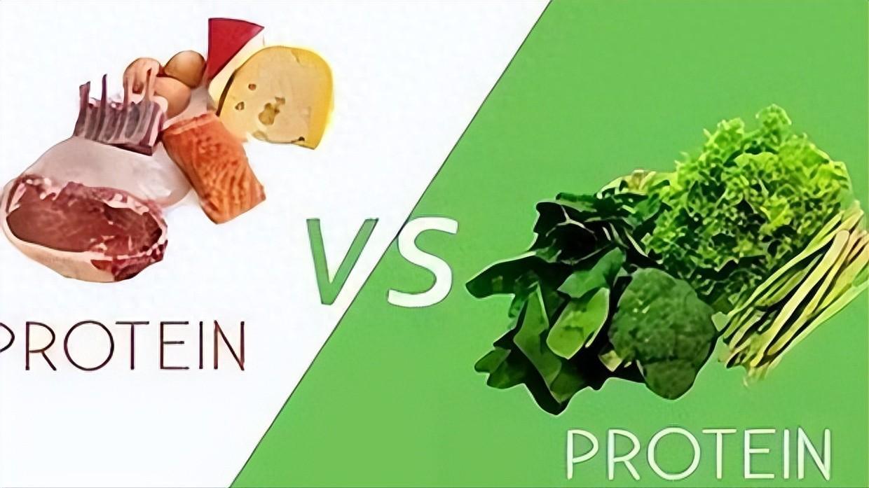 植物蛋白与动物蛋白哪个更有营养？我们该如何选择呢？