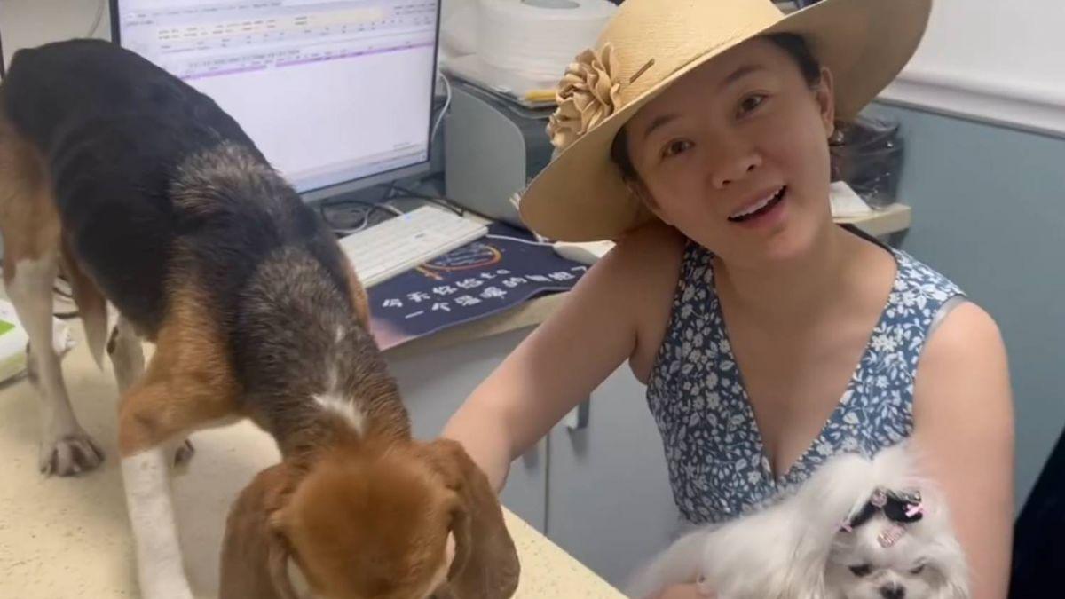 珍珠的新生：霍思燕与杜江的爱犬故事，温暖每一个心房