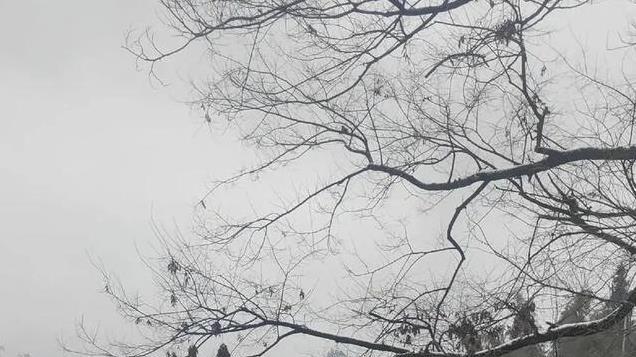 农村现象：很多人在外面打工，时间久了都不太愿意回来了。